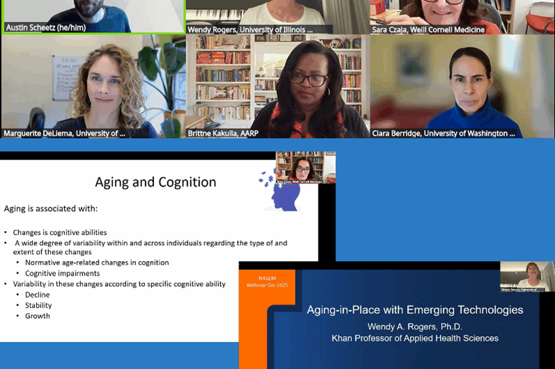 Collage of Zoom webinar screen and slides